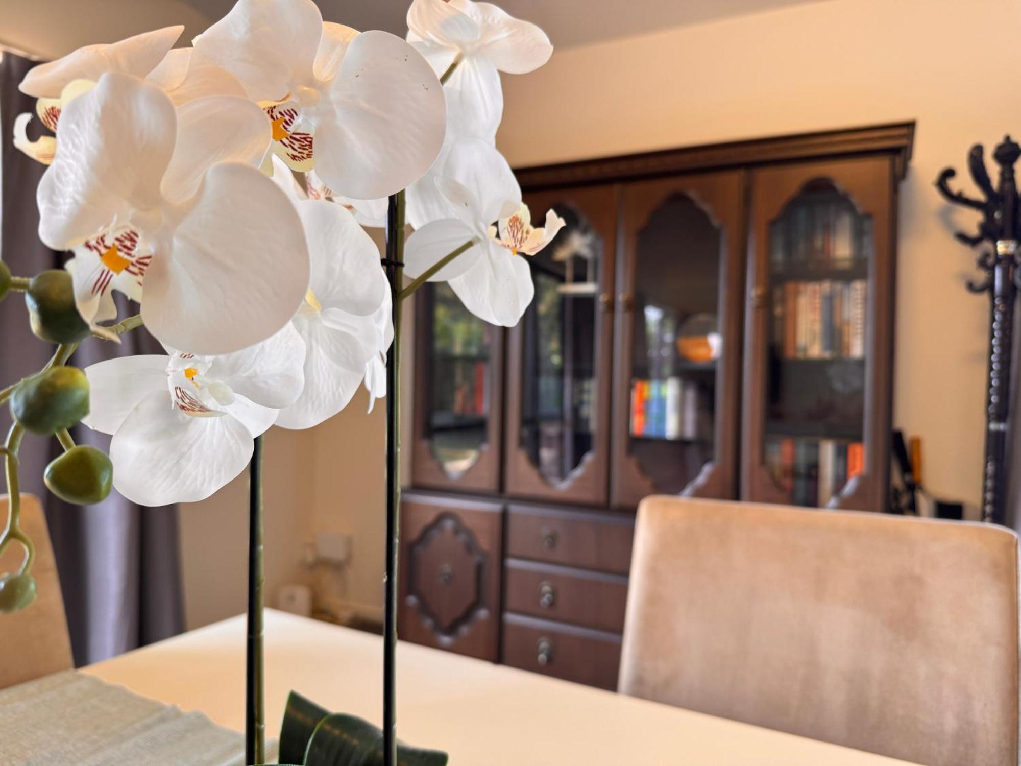 Woodbank Retreat Villa Hanmer Springs Dış mekan fotoğraf